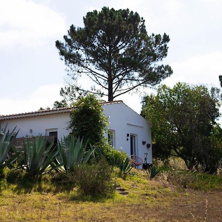 Monte Da Urze Aljezur - Agroturismo المظهر الخارجي الصورة
