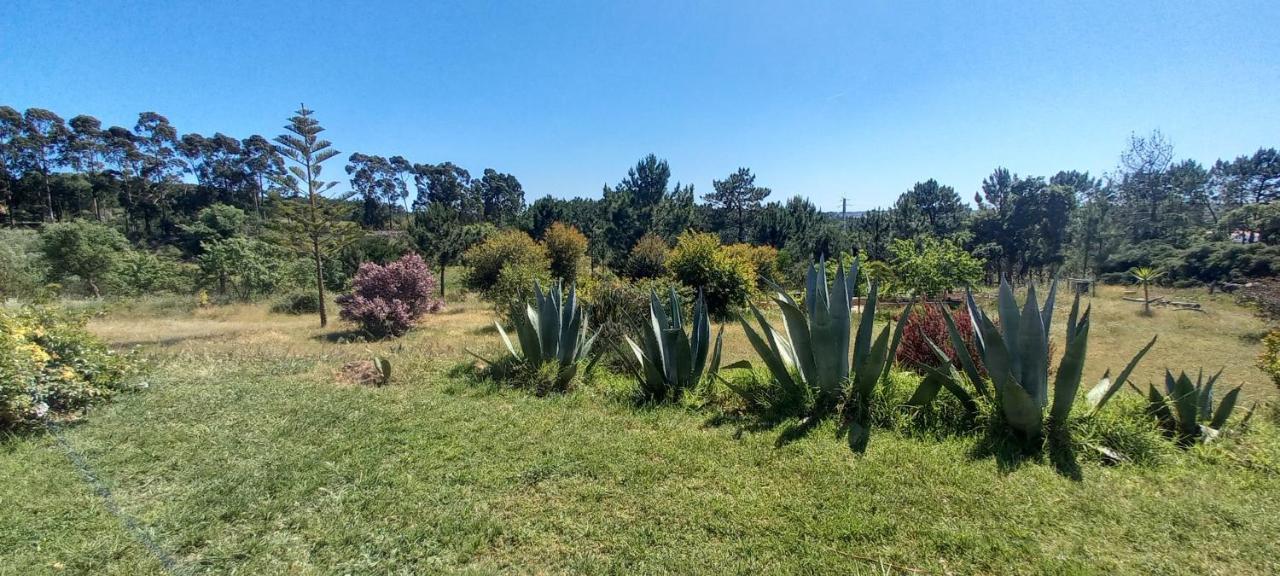 Monte Da Urze Aljezur - Agroturismo المظهر الخارجي الصورة