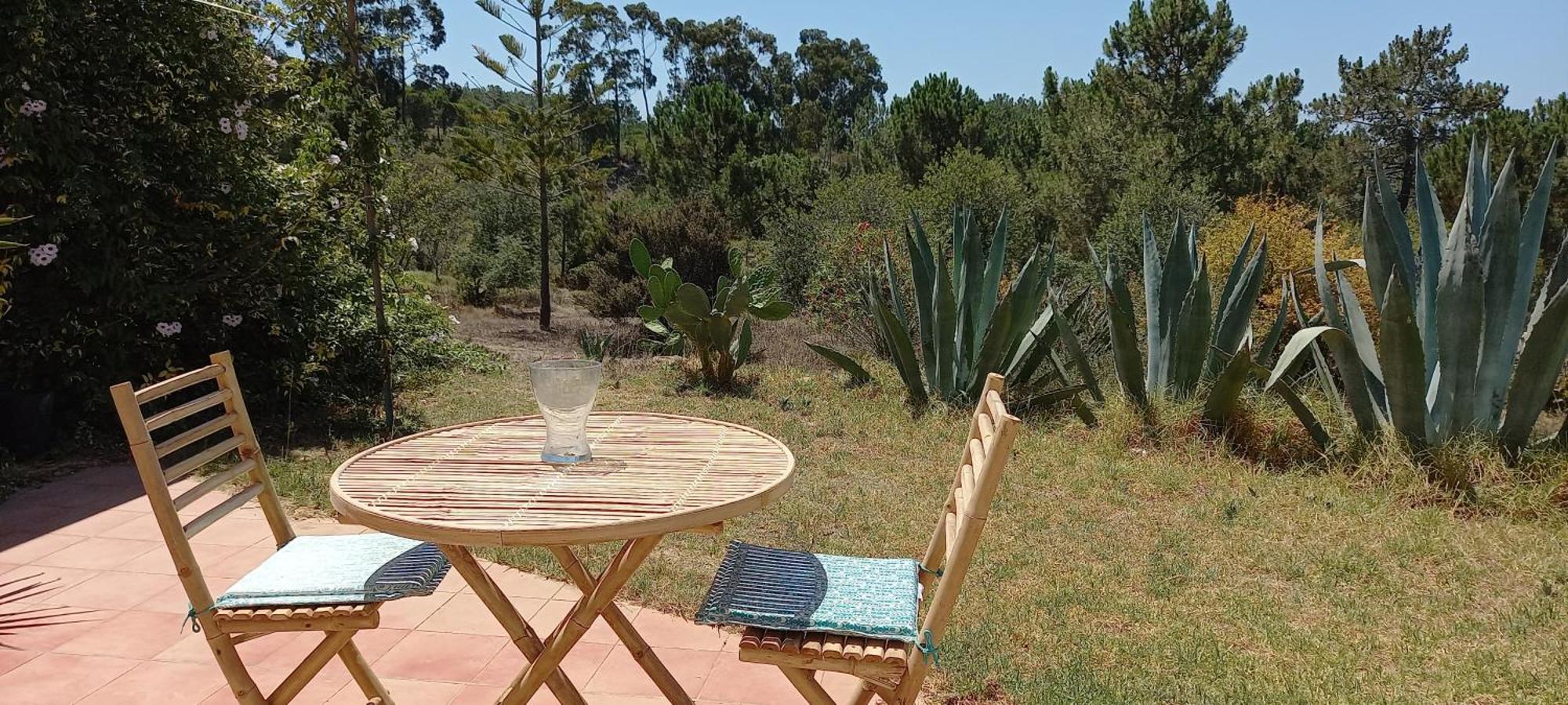 Monte Da Urze Aljezur - Agroturismo المظهر الخارجي الصورة