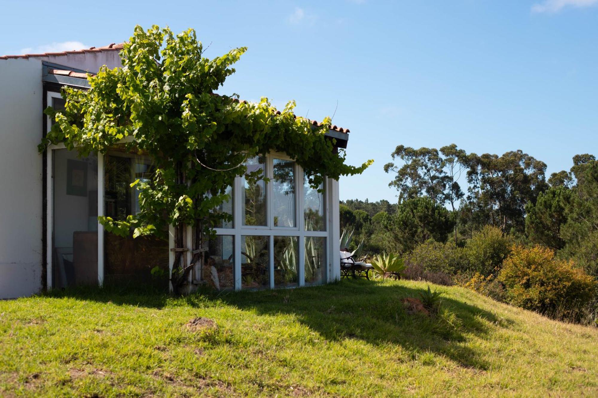 Monte Da Urze Aljezur - Agroturismo المظهر الخارجي الصورة